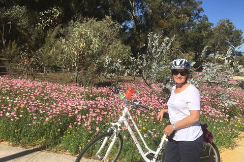 Perth Bike Tour - Beautiful Matilda Bay And Kings Park - Hervey Bay Accommodation 1