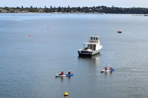 Cliffs And Caves Kayak Tour In Swan River - Hervey Bay Accommodation 2