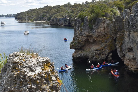 Cliffs And Caves Kayak Tour In Swan River - Hervey Bay Accommodation 5