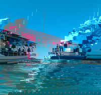 Best of Moreton Bay Cruise - Hervey Bay Accommodation