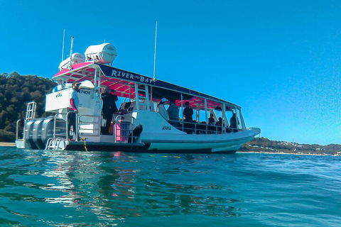 Best Of Moreton Bay Cruise - Hervey Bay Accommodation 0