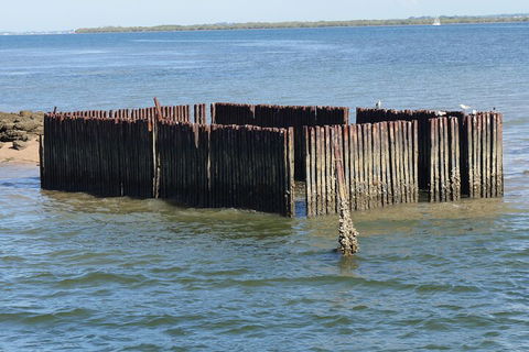 Best Of Moreton Bay Cruise - Hervey Bay Accommodation 1