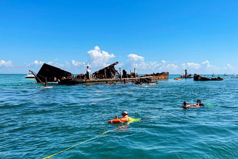 Best Of Moreton Bay Cruise - Hervey Bay Accommodation 5