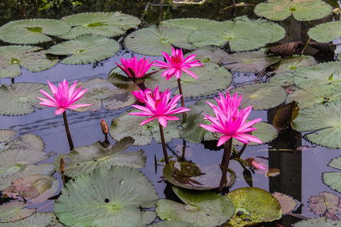 Kakadu, Nourlangie And Yellow Waters Tour From Darwin - Hervey Bay Accommodation 1