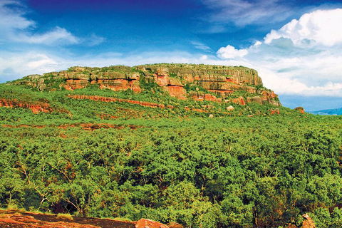 Kakadu, Nourlangie And Yellow Waters Tour From Darwin - Hervey Bay Accommodation 3