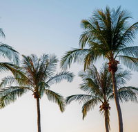 Darwin City Sightseeing Tour - Tourism Hervey Bay
