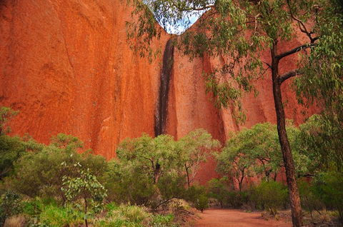 Uluru Sunrise And Guided Base Walk - Hervey Bay Accommodation 3