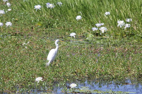 Darwin City Sights And Jumping Crocodile Cruise - Hervey Bay Accommodation 4
