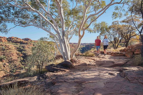 3-Day Tour From Uluru (Ayers Rock) To Alice Springs Via Kings Canyon - Hervey Bay Accommodation 1