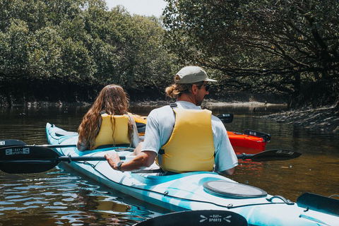Kayak Tour In Adelaide Dolphin Sanctuary - Hervey Bay Accommodation 2
