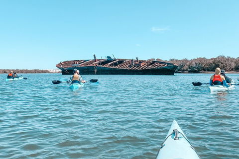 Kayak Tour In Adelaide Dolphin Sanctuary - Hervey Bay Accommodation 3