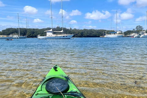 Kayak Tour In Adelaide Dolphin Sanctuary - Hervey Bay Accommodation 4