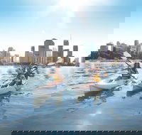 Brisbane Kayak Tour - Hervey Bay Accommodation