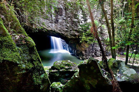 Natural Bridge & Springbrook Waterfalls Tour + Hot Air Balloon With Breakfast - Hervey Bay Accommodation 4