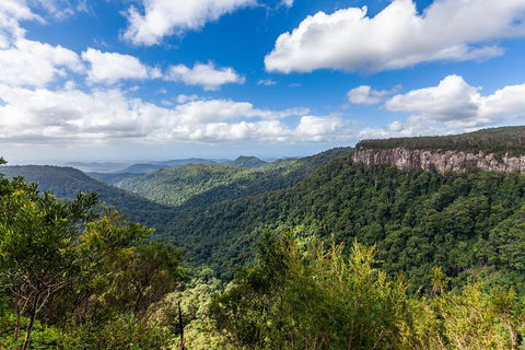 Natural Bridge & Springbrook Waterfalls Tour - Hervey Bay Accommodation 1