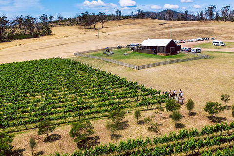 Tasmanian Wine Tour - Hervey Bay Accommodation 3