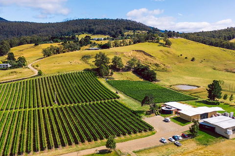 Tasmanian Wine Tour - Hervey Bay Accommodation 4
