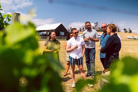 Tasmanian Wine Tour - Hervey Bay Accommodation 5