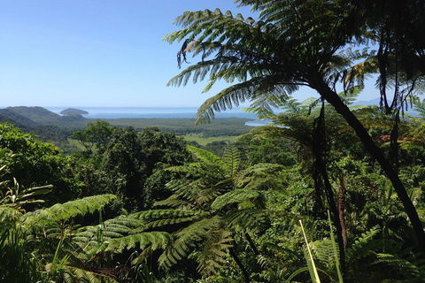 Daintree And Cape Tribulation Full Day Guided Tour - Hervey Bay Accommodation 2