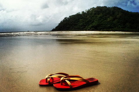 Daintree And Cape Tribulation Full Day Guided Tour - Hervey Bay Accommodation 4