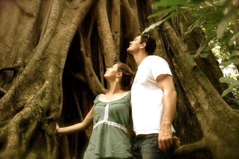 Daintree And Cape Tribulation Full Day Guided Tour - Hervey Bay Accommodation 5