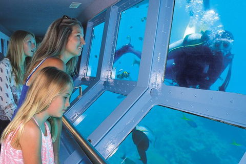 Quicksilver Outer Great Barrier Reef Snorkel Cruise From Palm Cove - Tourism Hervey Bay 0