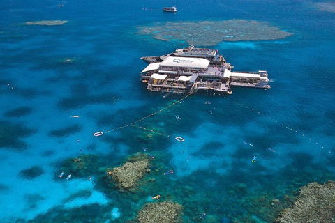 Quicksilver Outer Great Barrier Reef Snorkel Cruise From Palm Cove - Tourism Hervey Bay 1