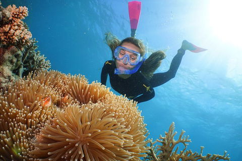 Quicksilver Outer Great Barrier Reef Snorkel Cruise From Palm Cove - Tourism Hervey Bay 2