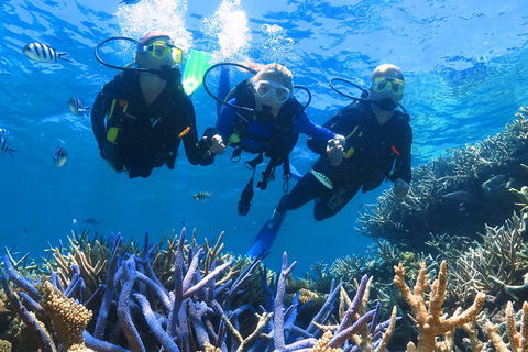 Quicksilver Outer Great Barrier Reef Snorkel Cruise From Palm Cove - Tourism Hervey Bay 3