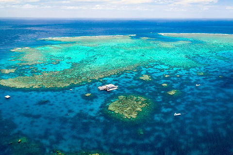 Quicksilver Outer Great Barrier Reef Snorkel Cruise From Palm Cove - Tourism Hervey Bay 4