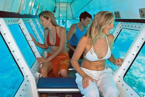 Quicksilver Outer Great Barrier Reef Snorkel Cruise From Palm Cove - Tourism Hervey Bay 5