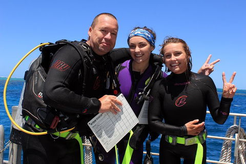 Quicksilver Dive 4 Day PADI Learn To Dive Course - Tourism Hervey Bay 0