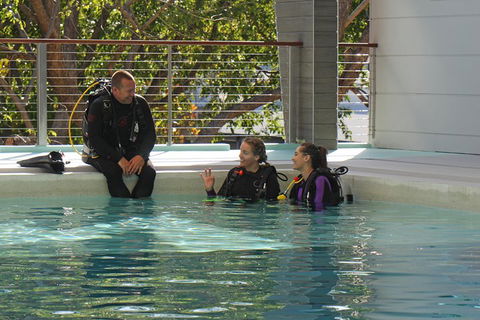 Quicksilver Dive 4 Day PADI Learn To Dive Course - Tourism Hervey Bay 3