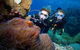 Quicksilver Dive 4 Day PADI Learn To Dive Course - thumb 4