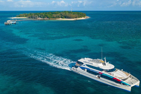 Ultimate 3-Day Great Barrier Reef Cruise Pass - Hervey Bay Accommodation 4