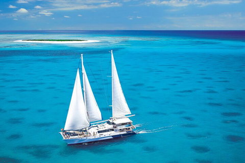 Ultimate 3-Day Great Barrier Reef Cruise Pass - Hervey Bay Accommodation 5