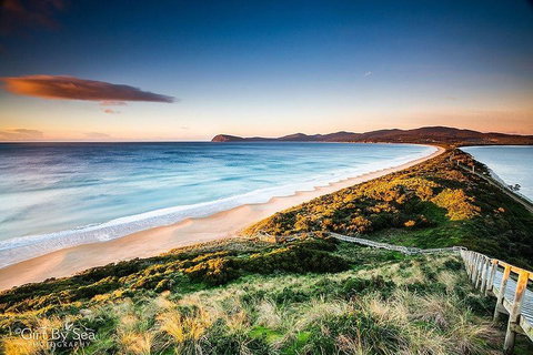 Bruny Island Private Charter Service - Hervey Bay Accommodation 0