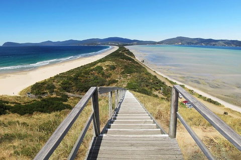 Bruny Island Private Charter Service - Hervey Bay Accommodation 4