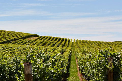 West Tamar Wine Tour - Tourism Hervey Bay 2