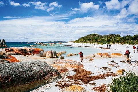 Wineglass Bay Private Charter Service - Tourism Hervey Bay 3