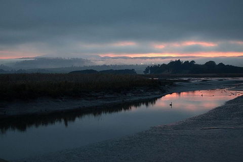 Launceston Private Charter Service - Hervey Bay Accommodation 1