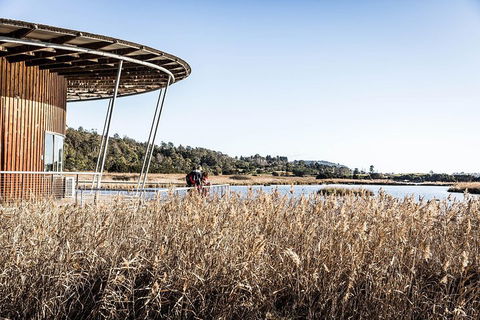 Launceston Private Charter Service - Hervey Bay Accommodation 2