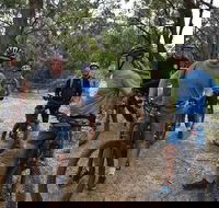 Fully guided E-Mountain Bike Tour on the beautiful Mornington Peninsula. - Tourism Hervey Bay