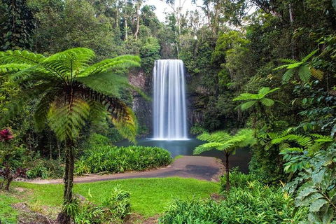 Cairns & Port Douglas All-Inclusive 7 Days Touring Package - Hervey Bay Accommodation 2