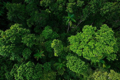 Cairns & Port Douglas All-Inclusive 7 Days Touring Package - Hervey Bay Accommodation 4