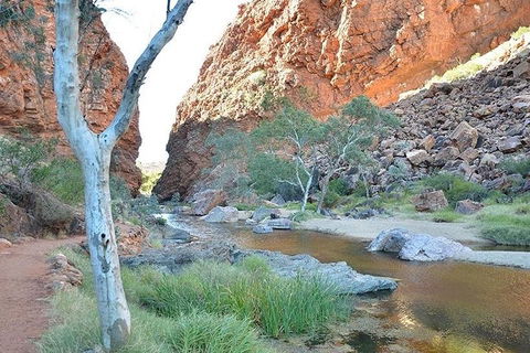 Alice Springs, Uluru Ayers Rock & Kings Canyon 8 Days Touring Package - Hervey Bay Accommodation 2
