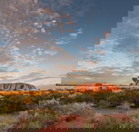 Uluru Kata Tjuta and Kings Canyon Camping Safari from Alice Springs - Tourism Hervey Bay