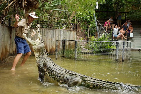 Hartley's Crocodile Adventure Half-Day Tour - Hervey Bay Accommodation 2