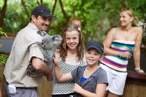 Hartley's Crocodile Adventure Half-Day Tour - Hervey Bay Accommodation 3