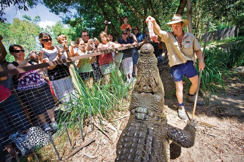 Hartley's Crocodile Adventure Half-Day Tour - Hervey Bay Accommodation 4